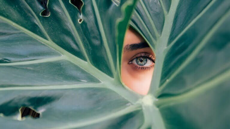 akcesoria kosmetyczne |